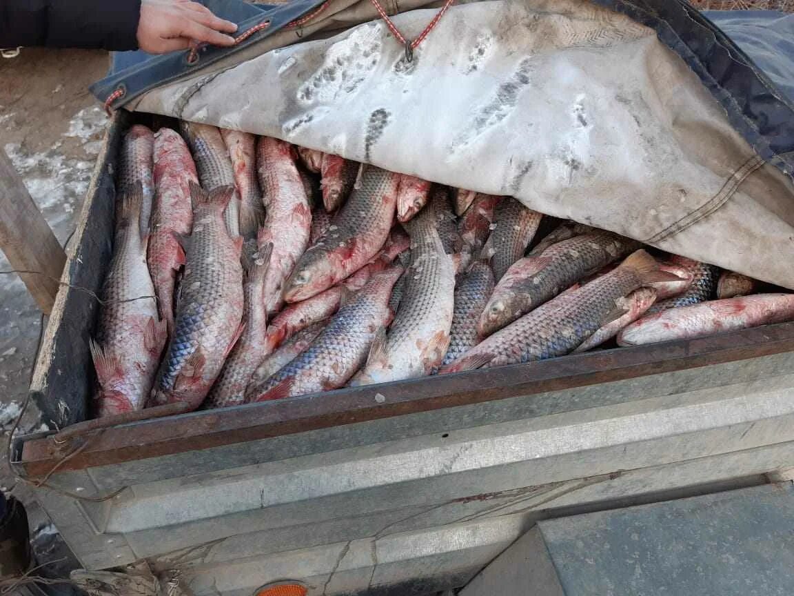 вейдерсы finntrail hiker 1531 grey_n (m). магазин рыболов сервис в усть-цильме. магазин лидер усть-цильма. рыболов сервис усть цильма. усть-цильма достопримечательности.