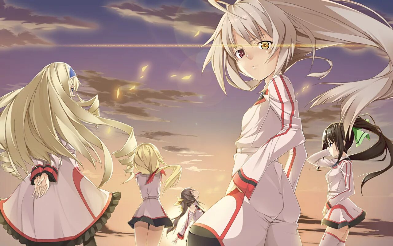 Ис девочки. Infinite Stratos. Необъятные небеса 4.