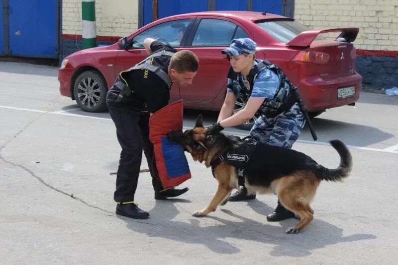 Уля ппс. Полк ппс нижний новгород. командир полка ппс нижний новгород. патрульно-постовая служба полиции. полк патрульно-постовой службы.