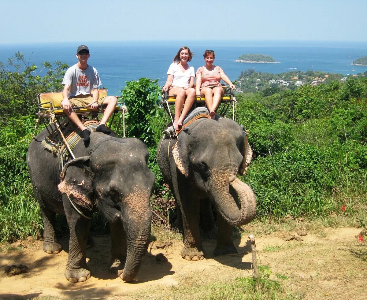 Экскурсия на слонах Патонг. Таиланд Пхукет слоны. Катание слоны на Пхукете. Катания на слонах Тайланд.