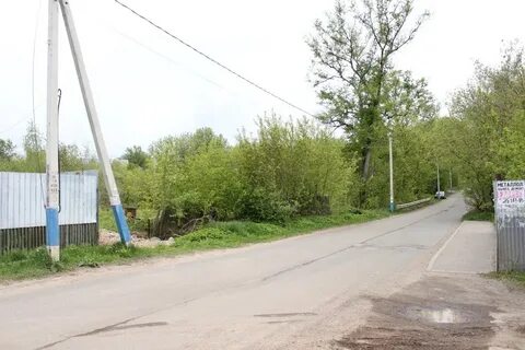Мытищи деревня грибки