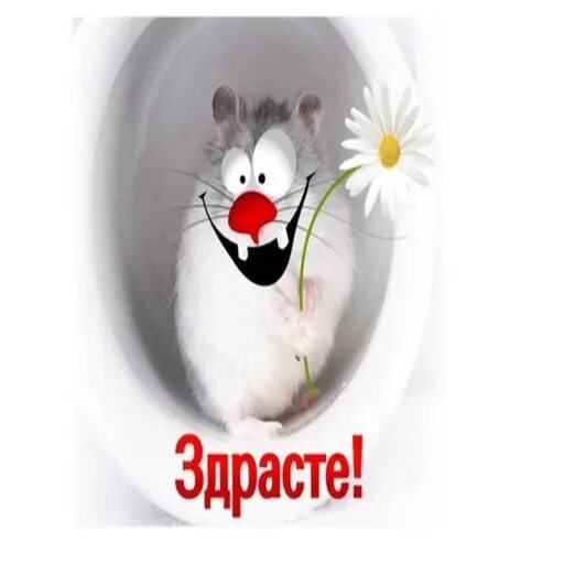 Здрасте давайте. Здрасте. всем здрасте. здрасте картинки. всем здрасте картинки.