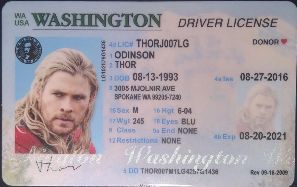 If you had a driving license. Washington state driver license. washington driving license. washington dc driver license. washington driver license back.