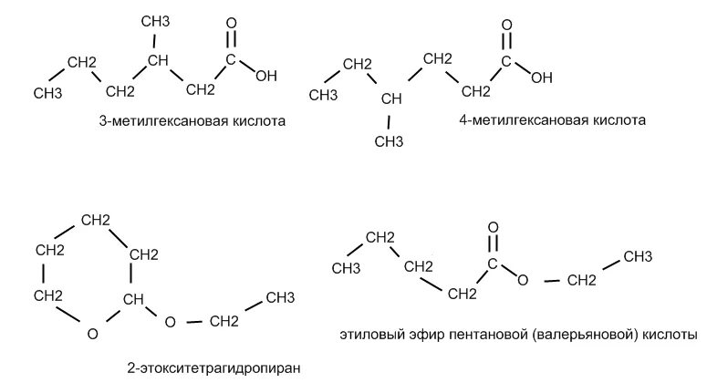 C5h12o гомолог. 2 метилпентановая кислота формула. Капроновая кислота формула. Изомеры гексановой кислоты. Изомеры гексановой кислоты.