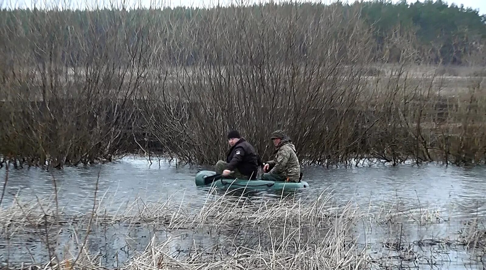 Брянский охотничий