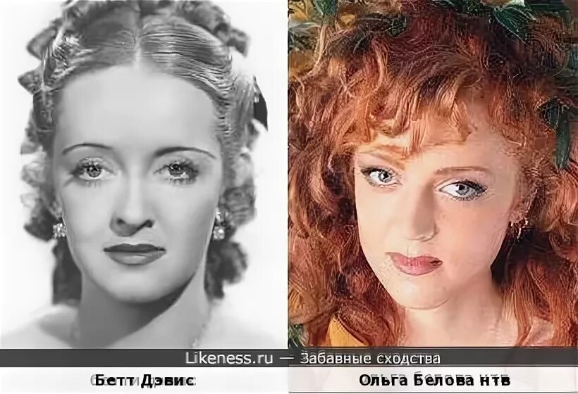 Ольга белова биография и личная жизнь Ольга Белова фото на 24СМИ