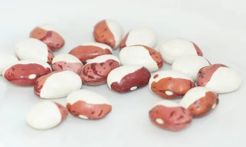 Full of beans перевод