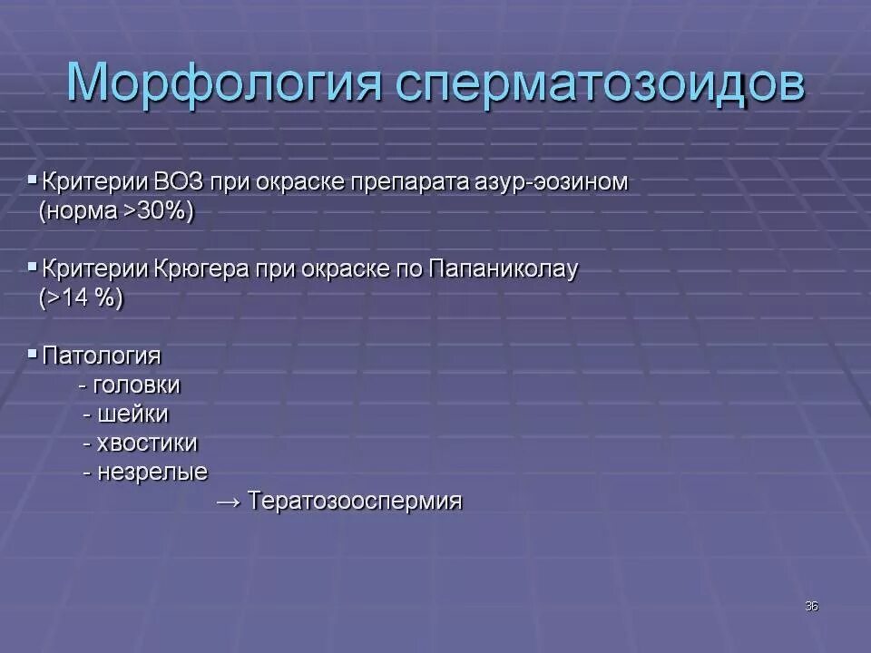 Морфология сперматозоидов по воз. Морфология спермиев по критериям Крюгера норма. Спермограмма с морфологией. Морфологический анализ сперматогенеза. Морфология как улучшить