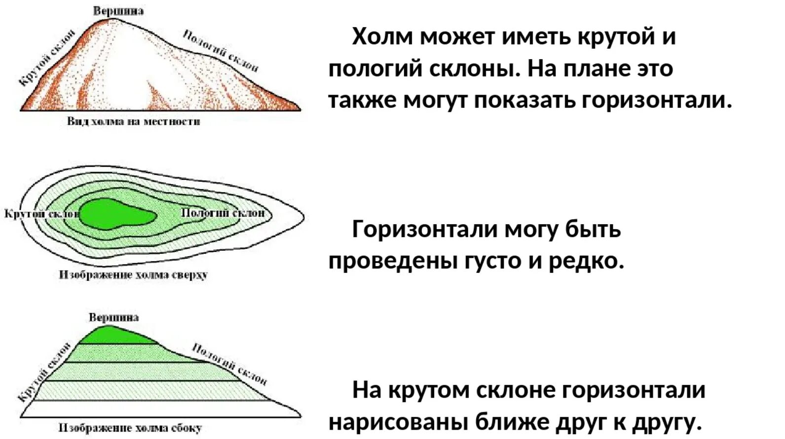 Изображение рельефа. Изображение рельефа на топографических планах и картах. Холм горизонталями. Изображение рельефа на плане. Ковид поверхности