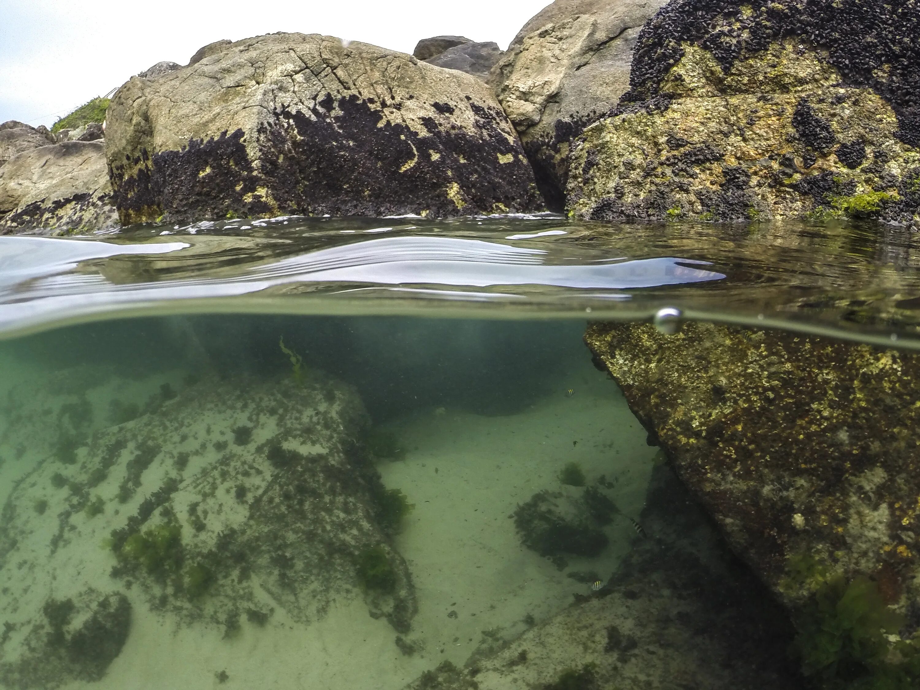 Прозрачная вода. Прозрачное море. Камни под водой. Прозрачная река. Прозрачность воды в озерах