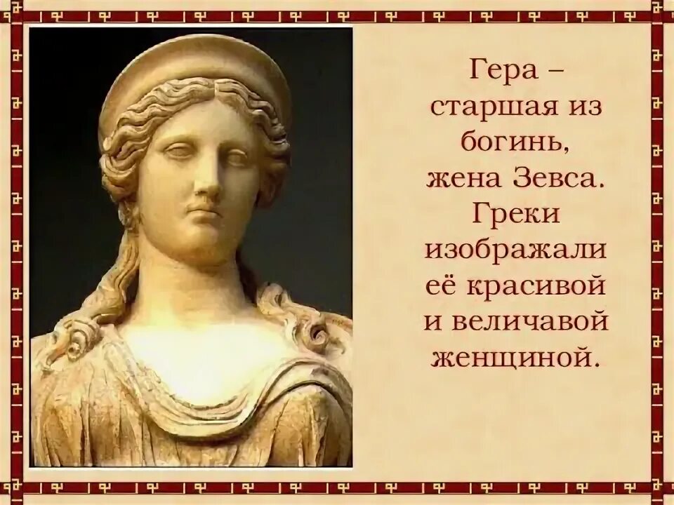 Сколько лет геры. Сколько лет геры