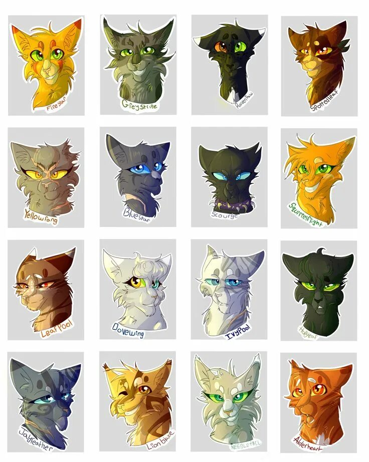 Как выглядят коты воители Pin on Коты Воители Warrior cats art, Warrior cats, Warrior cat drawings