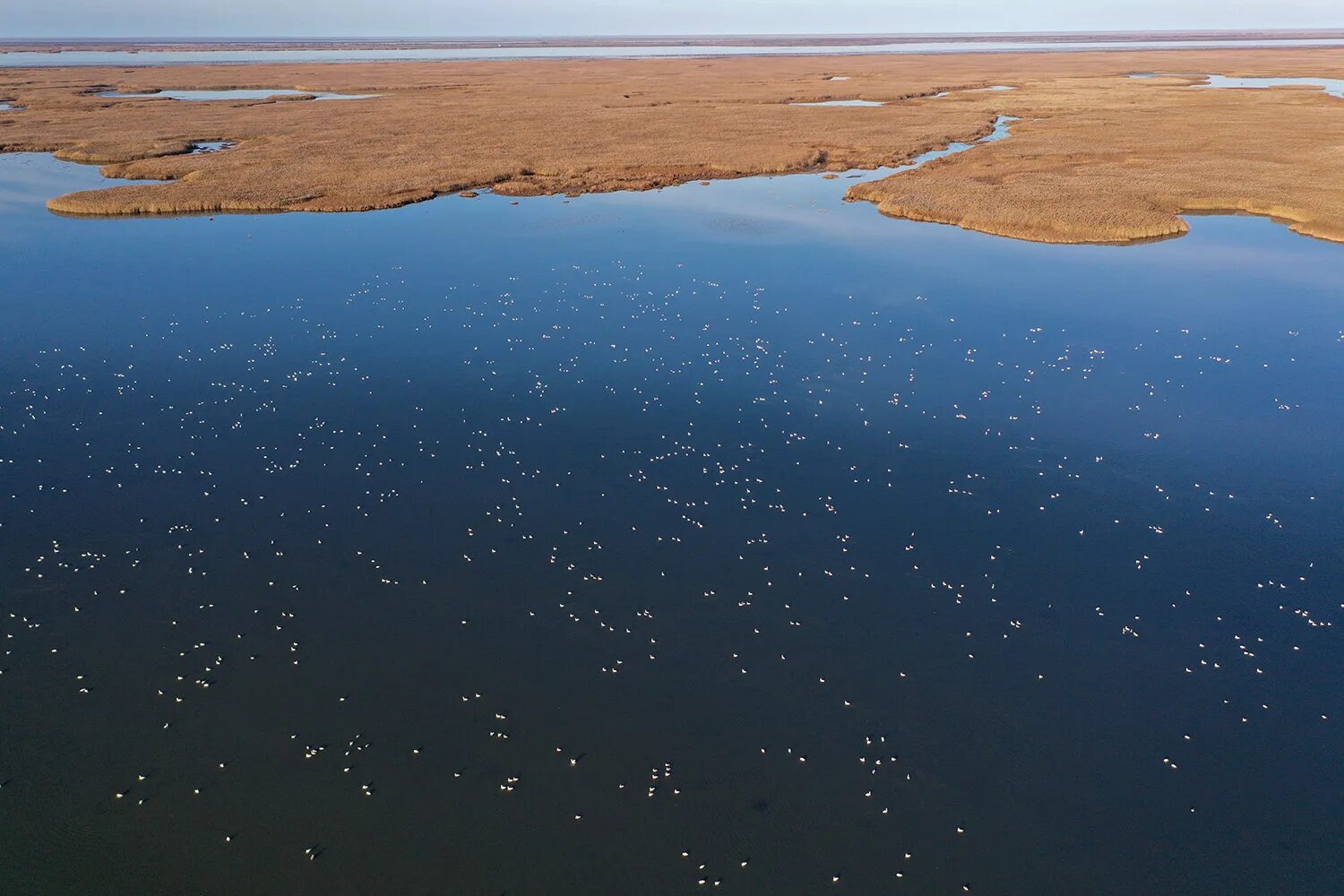 Река волга впадает в каспийское море знаки. Каспийское море Дельта Волги. Дельта реки Волга. Водно-болотного угодья Дельта реки Волги. Место впадения Волги в Каспийское море.