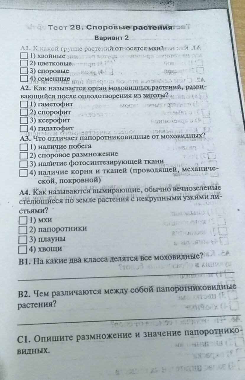 Размножение тест 7 класс. Тест 28 споровые растения. Тесты по биологии размножение. Тест мхи 7 класс биология. Тест по биологии с ответами.