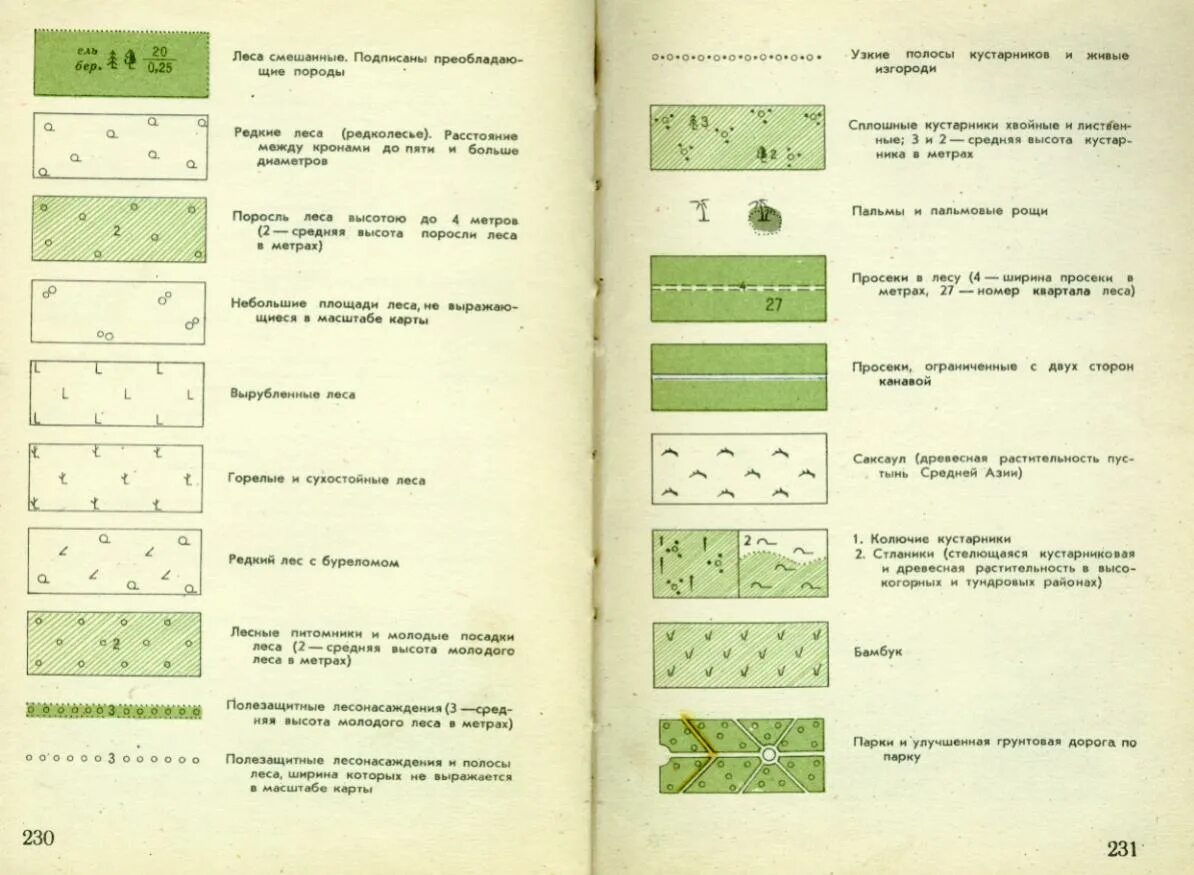 Обозначения леса на карт. Редколесье топографический знак. Условные знаки топографических карт лес. Топографический знак лесничество. Обозначение Сосновый лес на топографических картах.