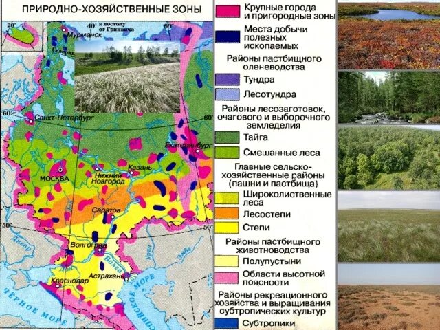 Природно хозяйственные западной сибири. Природные зоны Западной Сибири карта. Природные зоны зоны Урала. Природно хозяйственные зоны России. Природные зоны Восточно европейской.