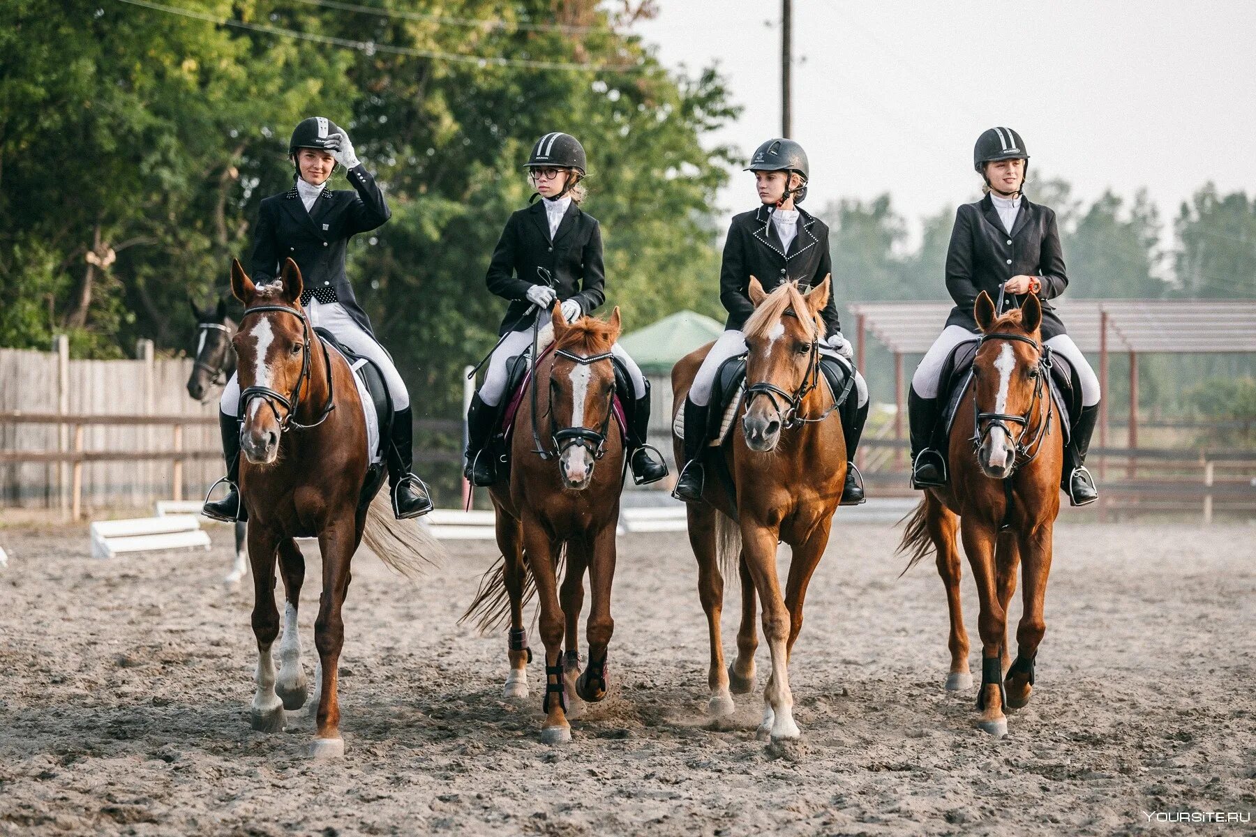 Конная полиция в россии 2022. Конная полиция в битцевском парке. Конная полиция в парке сокольники в москве. Недоуздок хакамора. Конная полиция спб.