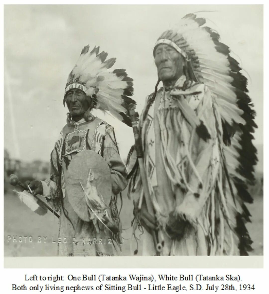 First natives