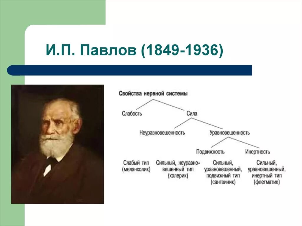 Слово по и п павлову это