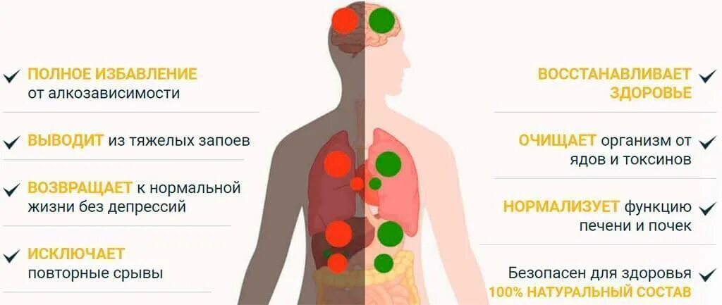 Сколько времени очищается организм. Выведение токсинов из организма. Выведение токсических веществ из организма. Вывод шлаков из организма.