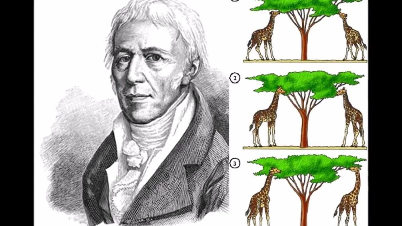 Аристотель ж б ламарк. Jean Baptiste Lamarck. Ламарк ученый. Портрет Ламарка биология.