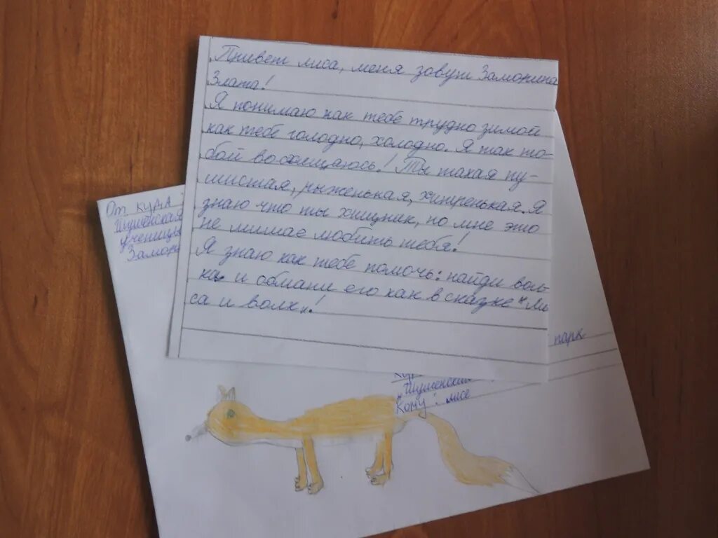 напиши письмо животному. напиши письмо животному. передумать сказку про животных. сказки придуманные детьми. напиши письмо животному.