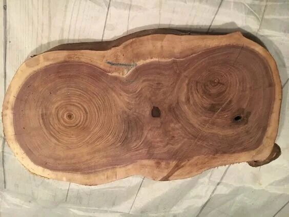 маньчжурский ясень древесина. приклад из груши. карагач дерево структура древесины. грецкий орех древесина. орех древесина.