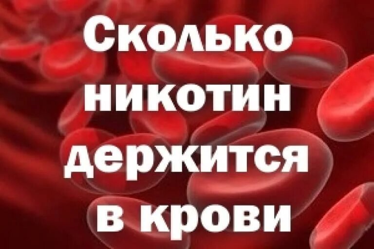 Как долго никотин держится в крови. Сколько выветривается никотин из крови. Через сколько времени выветривается никотин. Сколько дней выветривается никотин из крови.