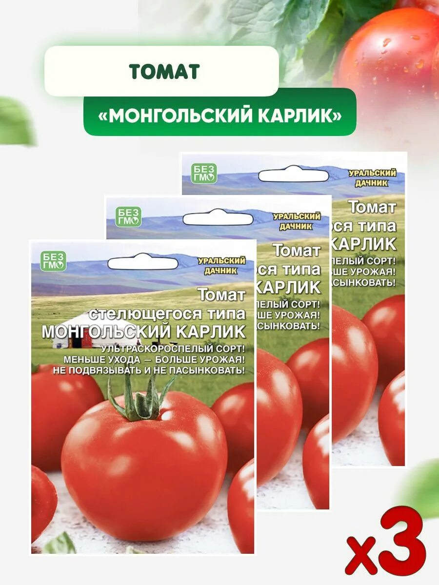 Томат монгольский карлик семена. Сорт помидор монгольский карлик. Томат стелющийся монгольский карлик. Томат Монгол карлик.