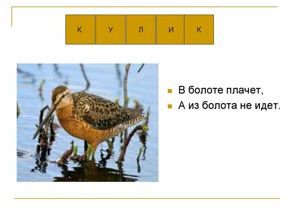 Особый крик птицы подзывающий самку кроссворд 9. Особый крик птицы подзывающий самку кроссворд 9. Вальдшнеп птица голос. Особый крик птицы подзывающий самку кроссворд 9. Звук коршуна.