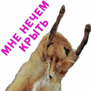 Нечем крыть