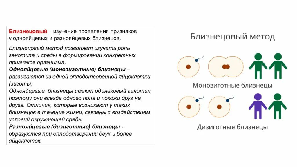 Признаки обусловленные генотипом. Изучение проявления признаков у однояйцевых близнецов. Однояйцевые и разнояйцевые Близнецы. Однояйцевые Близнецы генотип. Роль генотипа и среды в проявлении признаков.