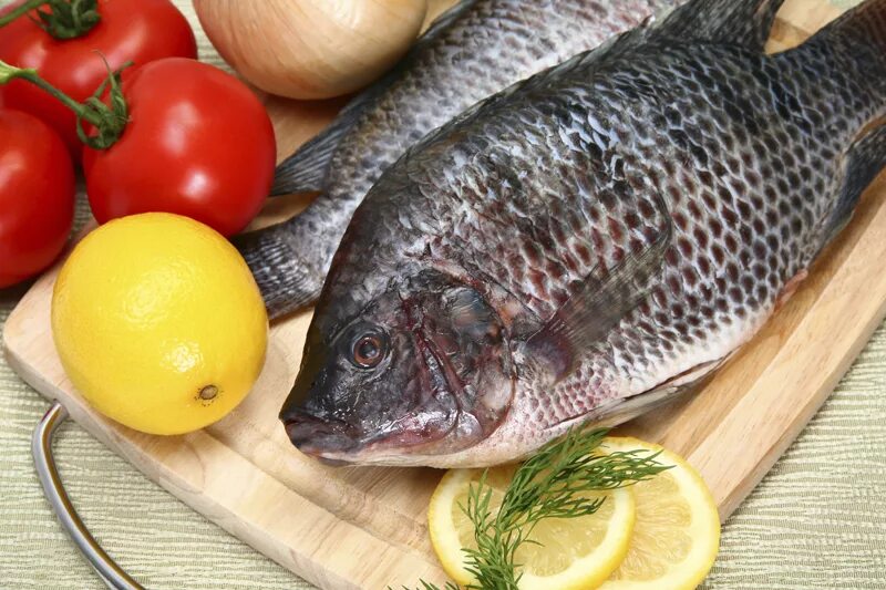 Тилапия откуда. Tilapia fish. тилапия вяленая. копченая тилапия. тилапия пресноводная.