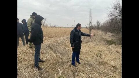 Женщину застрелили на кукурузном поле