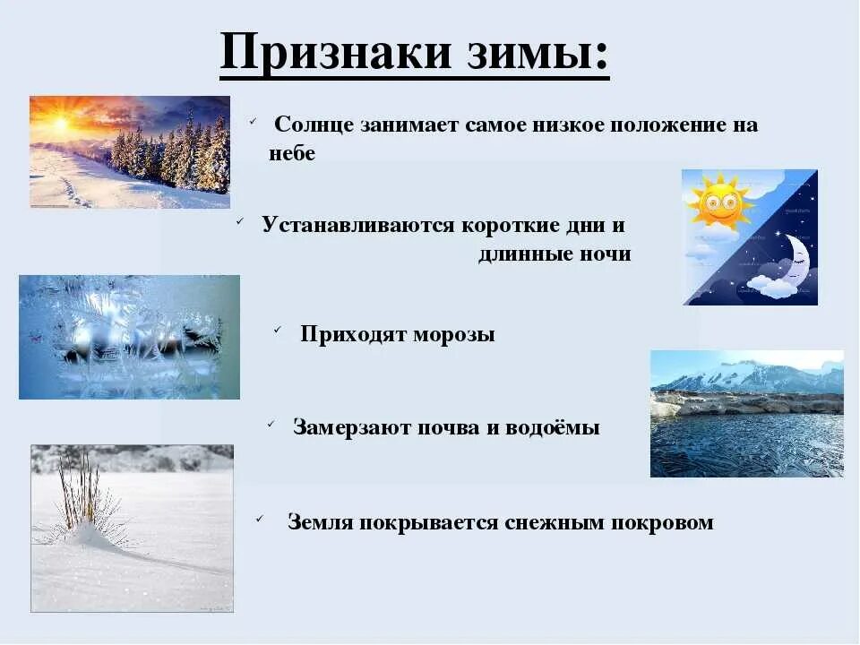 Изменения в природе зимой 5 класс биология. Зимние изменения в природе. Сезонные изменения в природе зимой. Зимние погодные явления. Зима изменения в неживой природе.