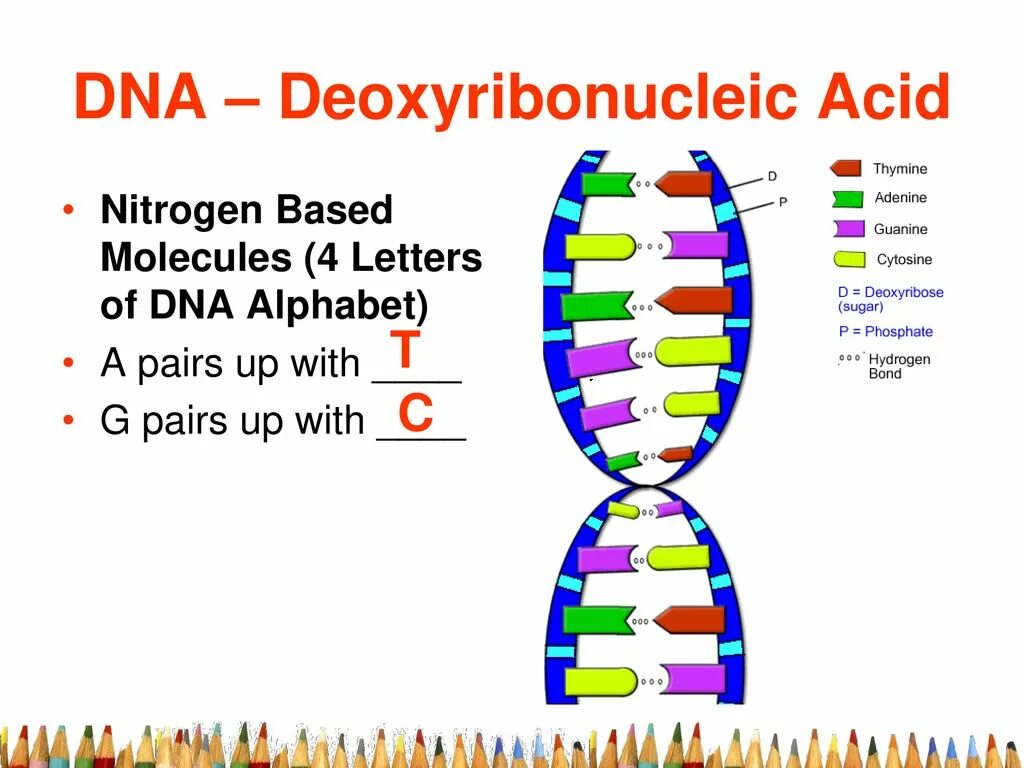 Dna using