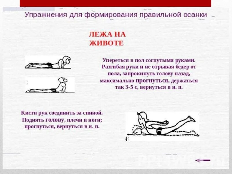 Как правильно формировать осанку. Как правильно формировать осанку