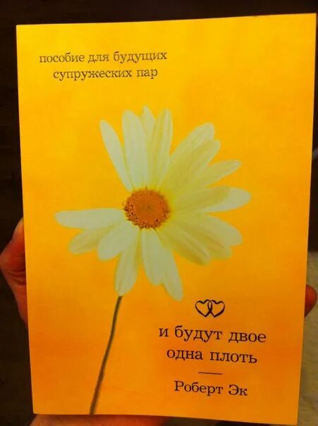 И станут одна плоть. Двое одна плоть книга. двое в плоть едину.
