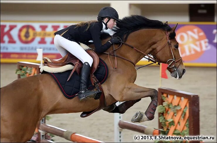 девушка жокей на лошади. лошадь вид сзади. эрин уильямс конный спорт. лошадиные ноги. конь между ног.