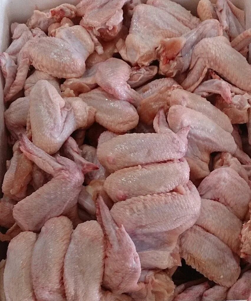 Куриные крылья замороженные. Крылья куриные. курица мясо. крыло куриное замороженное. крылышки куриные.