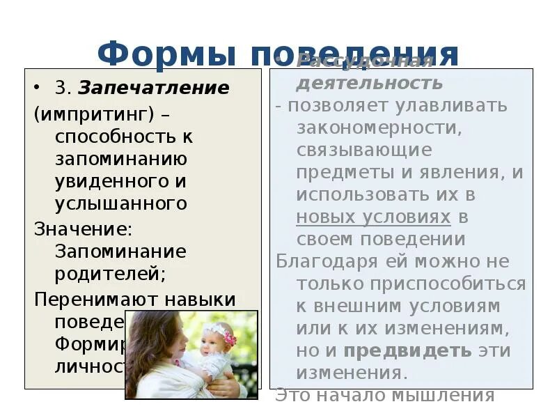 Какие формы поведения можно