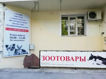 Альтернатива новосибирск