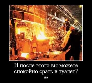 Мы производим видел