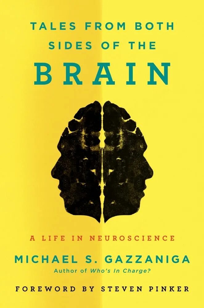 Brain life. Книга войны мозга. Книга про мозг бестселлер. Мозг книга трудная. Michael Gazzaniga.
