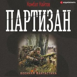 Партизан книга слушать