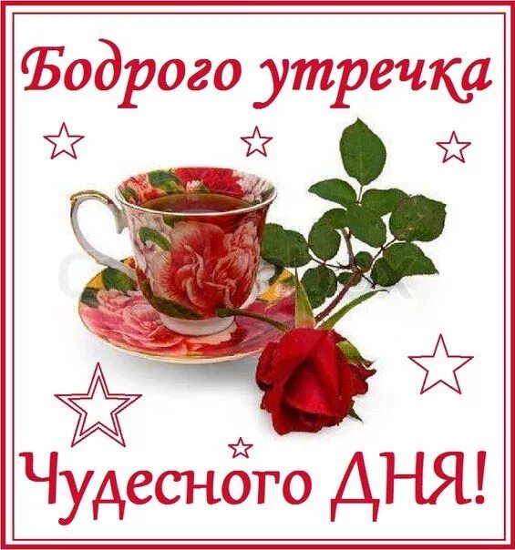 Доброго бодрого утра и хорошего дня картинки Ответы : А вот и я вам с добрым утречком. Что для вас телевизор