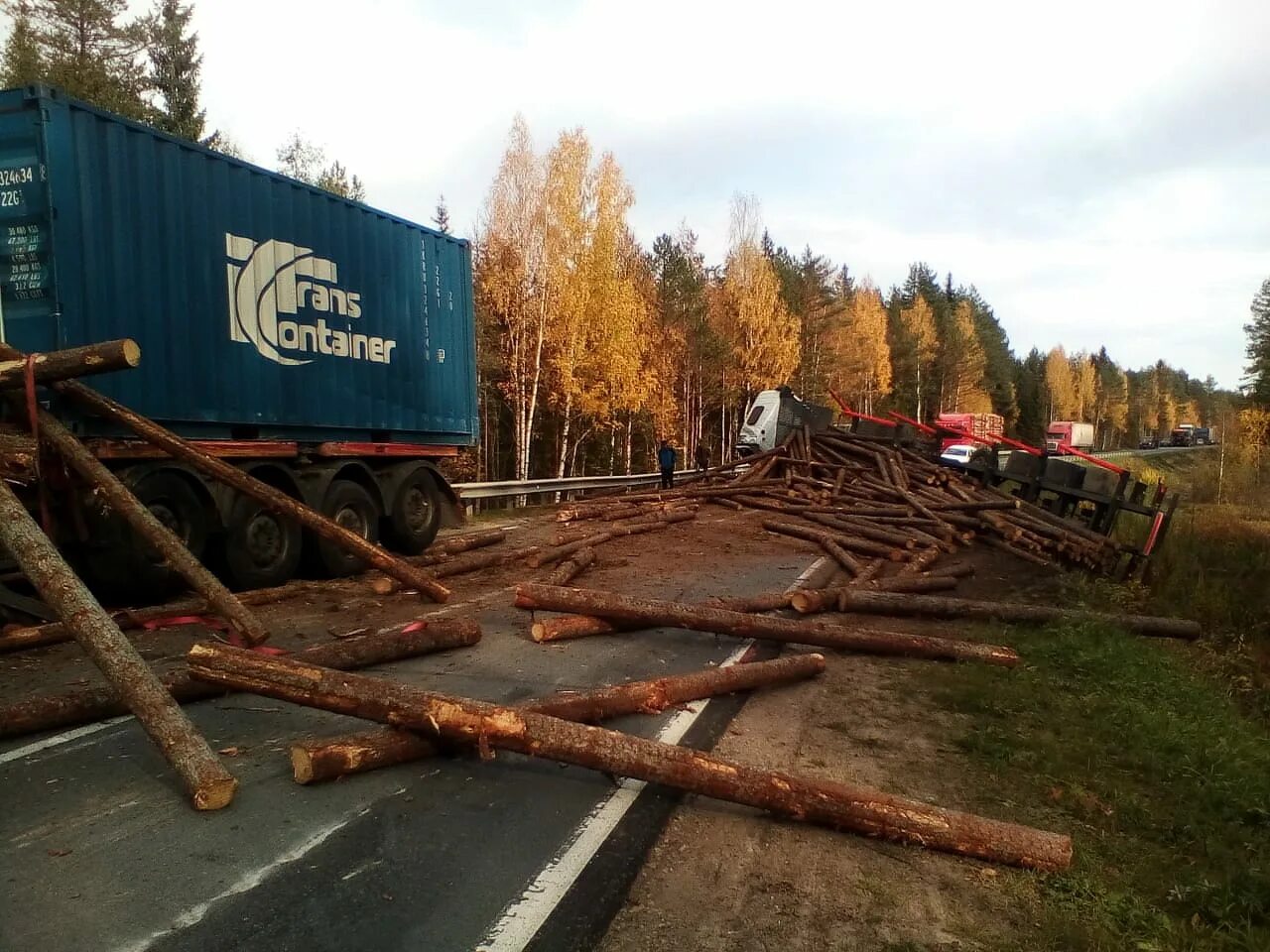 Авария лесовоз в Архангельской области. Лесовоз на дороге.