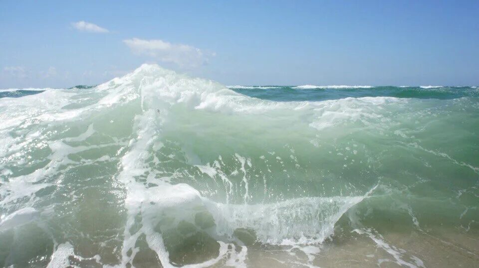 Чувствуете запах моря. Запах моря. Запах моря фото. Какой запах у моря.