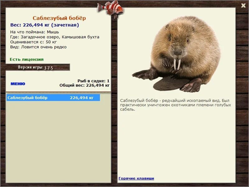 Саблезубый бобер. Какой вес бобра. Максимальный размер бобра. Саблезубый бобер. Какой вес бобра.