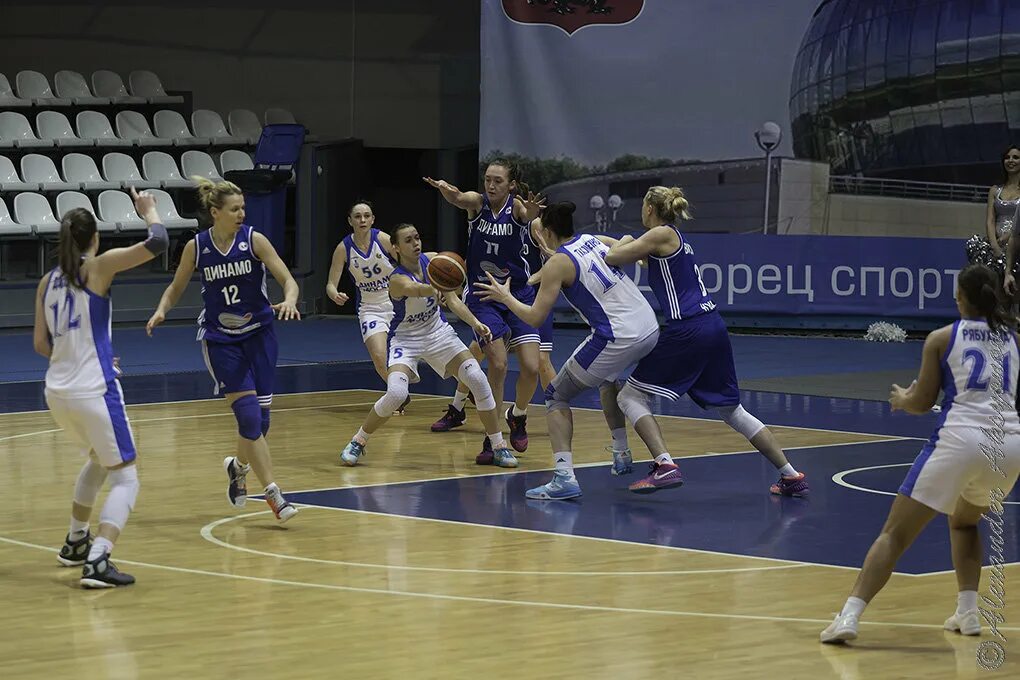 динамо курск баскетбол женщины расписание